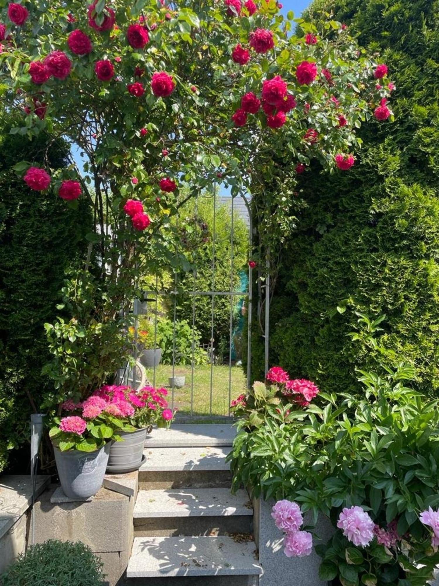 Appartamento Zum Sternberg Münsingen Esterno foto